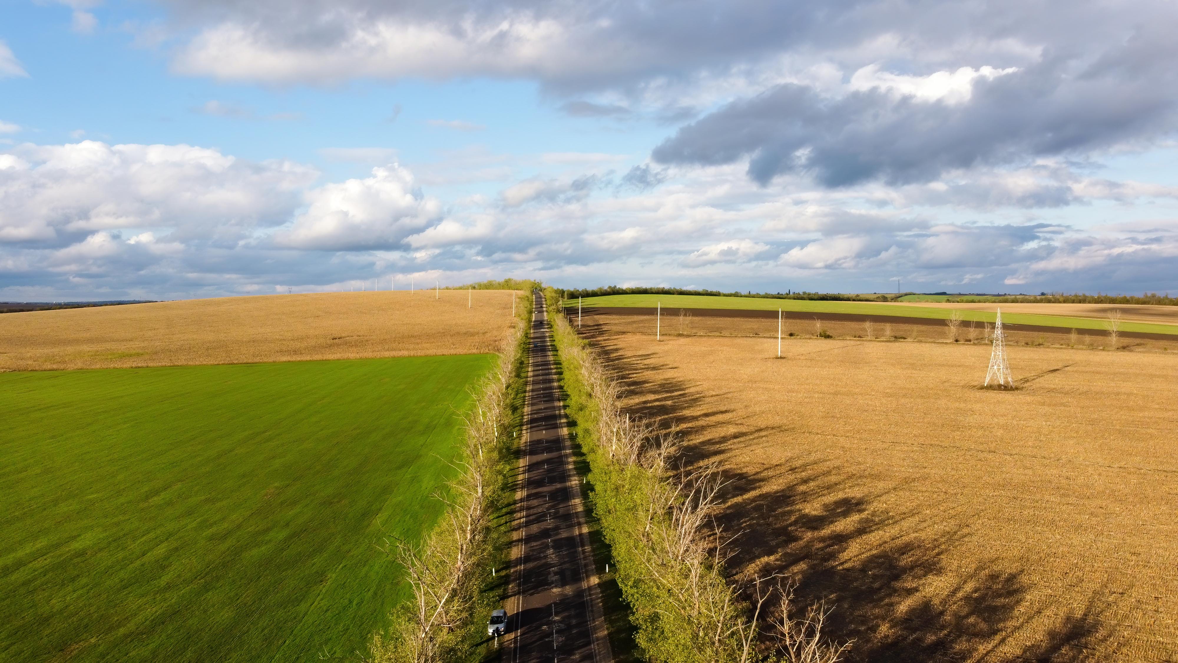 Understanding the Chicken Road A Holistic Approach to Farming and Life Cycles